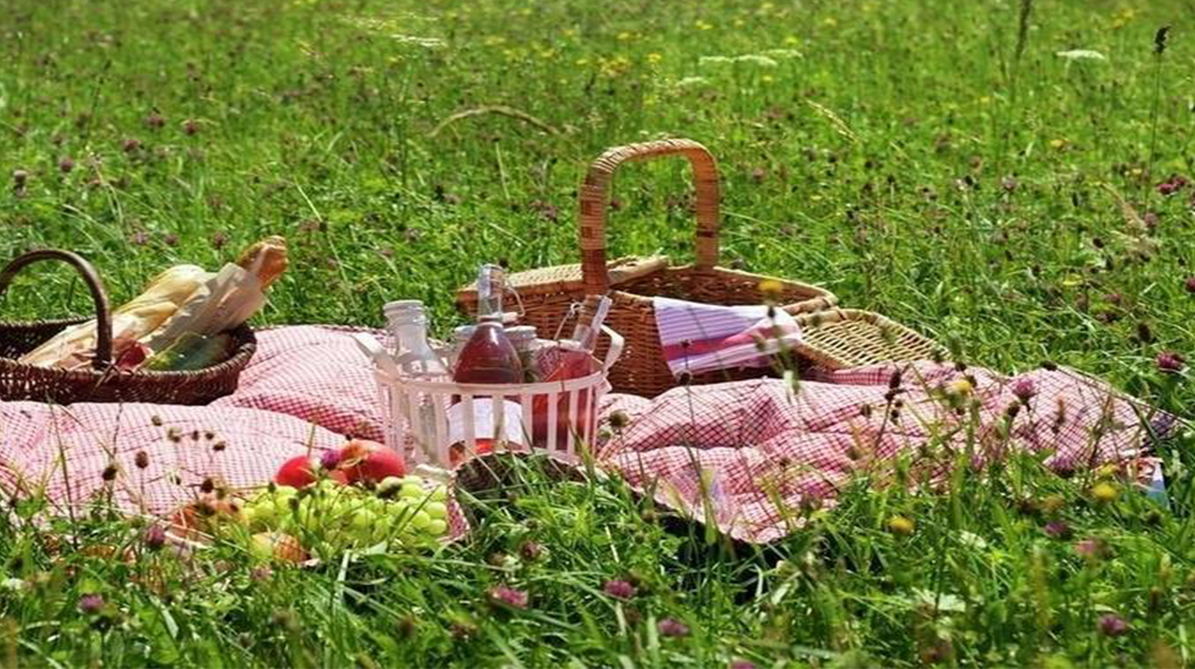 Picnic Baskets